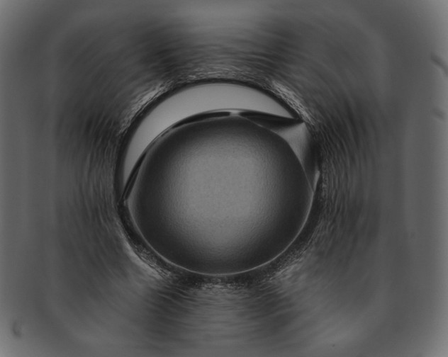 X0000091710538200709071415