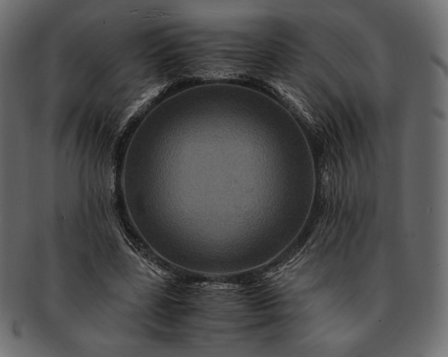 X0000091710539200709071415