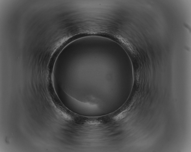 X0000091710540200709071415