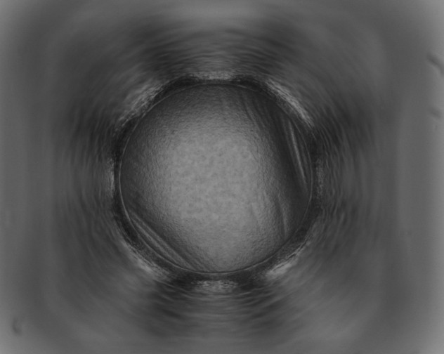 X0000091710541200709071415