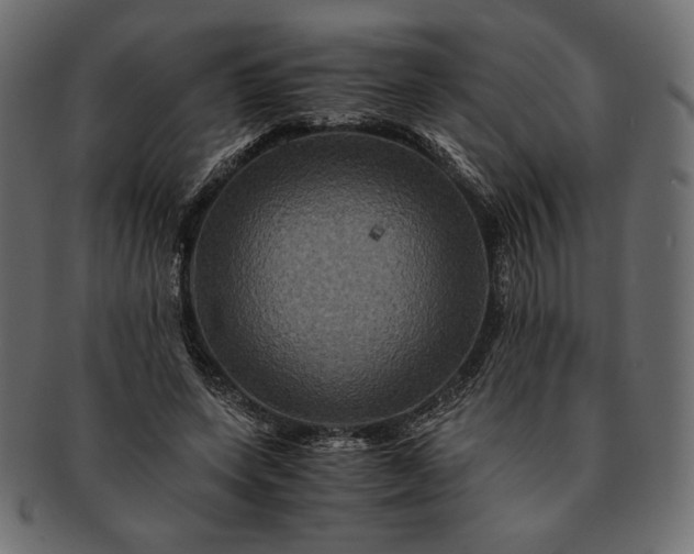 X0000091710543200709071415