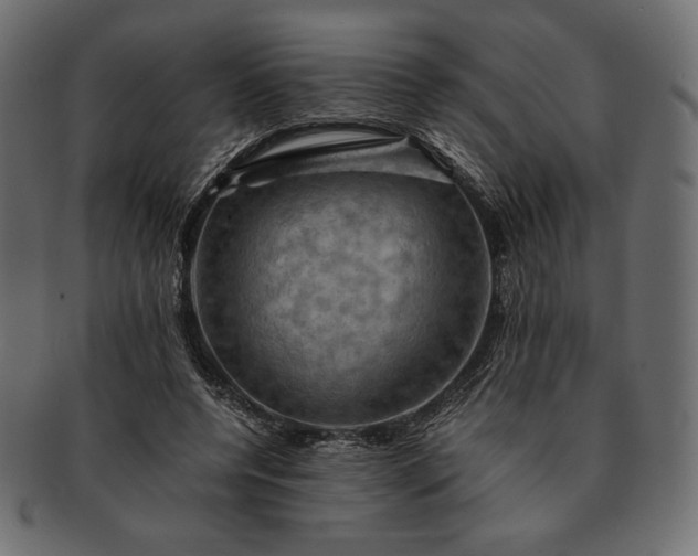 X0000091710544200709071415