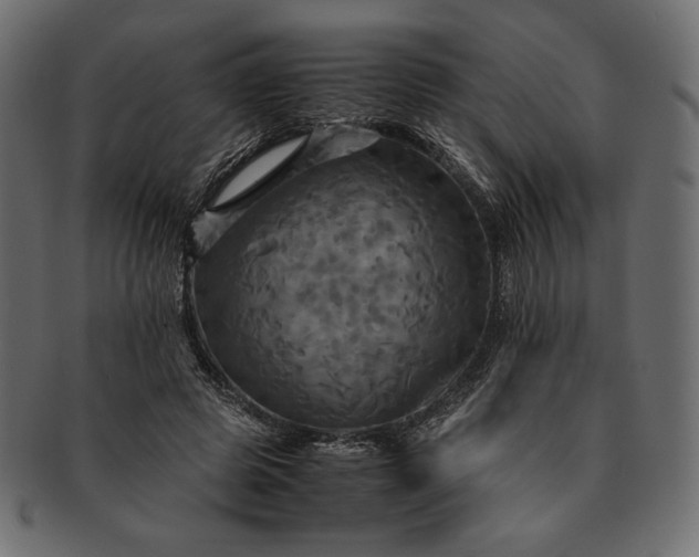 X0000091710545200709071415