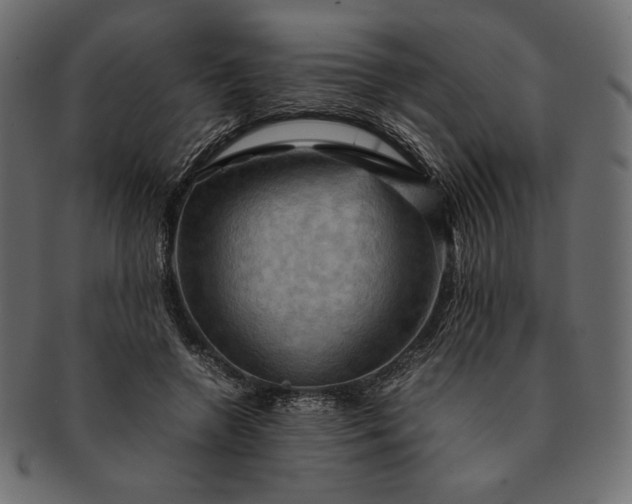 X0000091710546200709071415