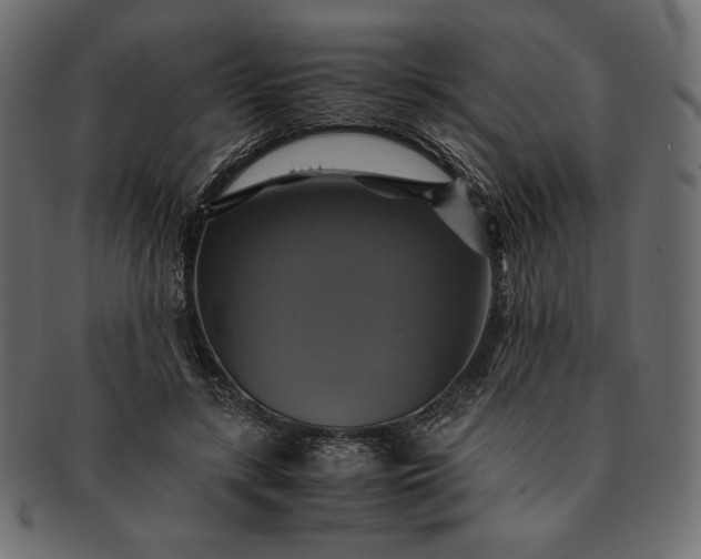 X0000091710547200709071415