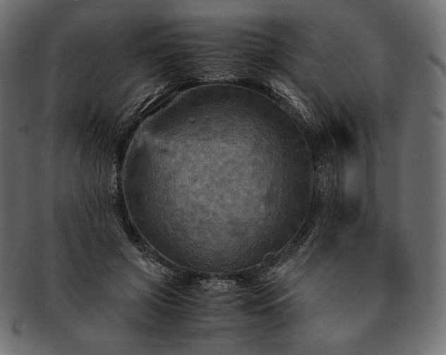 X0000091710549200709071415