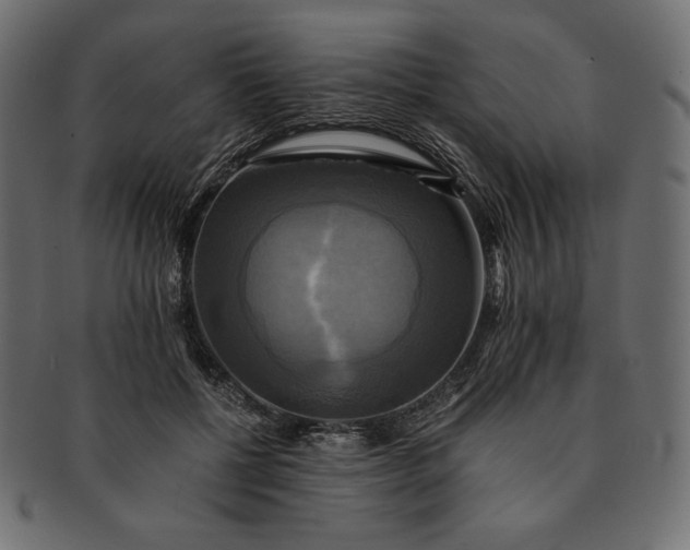 X0000091710552200709071415