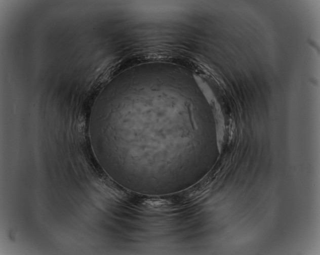 X0000091710557200709071415