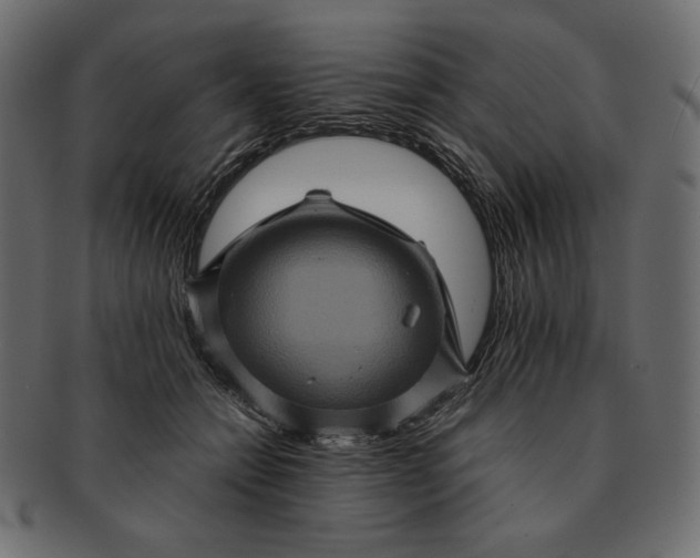 X0000091710558200709071415