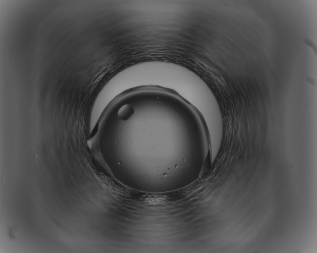 X0000091710560200709071415