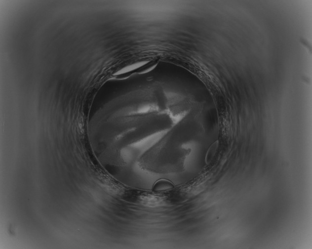 X0000091710561200709071415