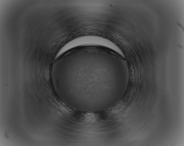 X0000091710562200709071415