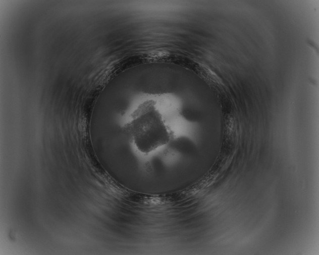 X0000091710565200709071415