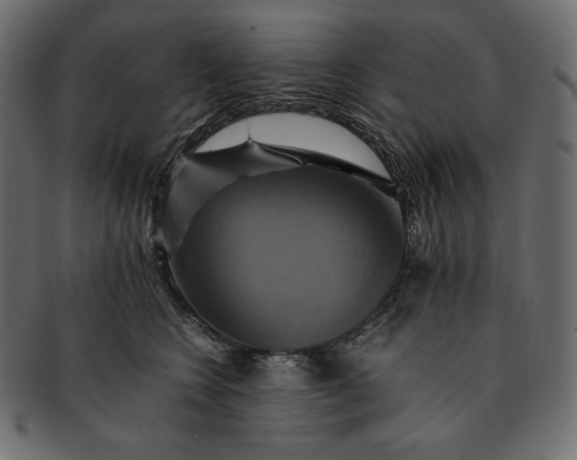 X0000091710566200709071415