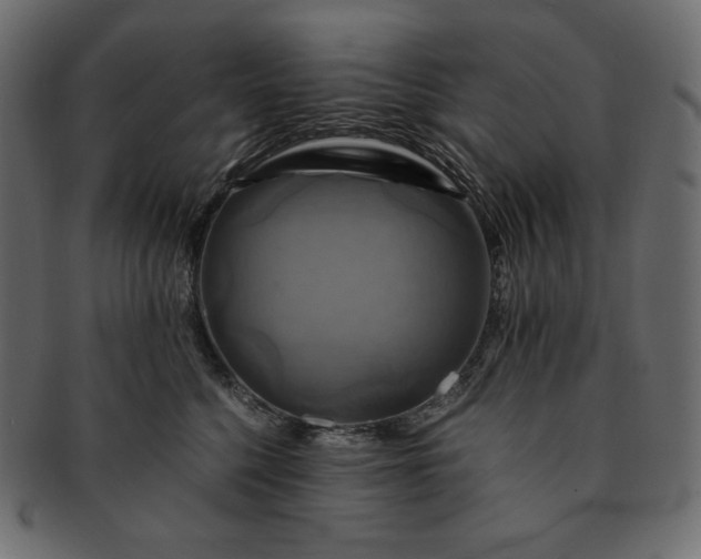 X0000091710568200709071415