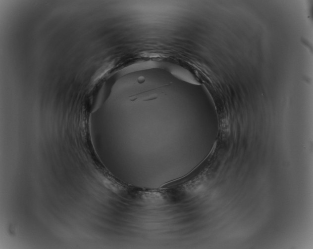 X0000091710572200709071415