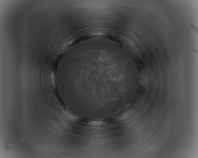 X0000091710575200709071415