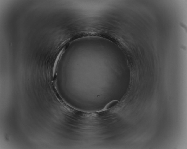 X0000091710576200709071415