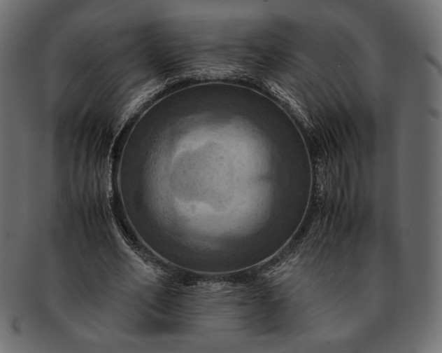 X0000091710582200709071414