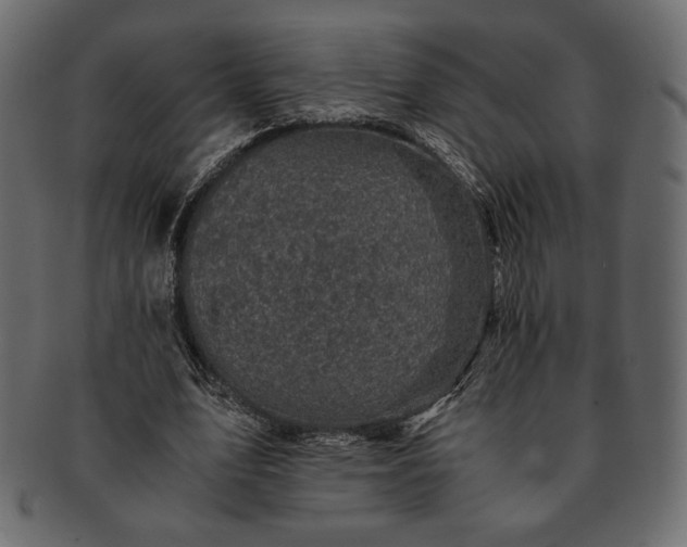 X0000091710583200709071414