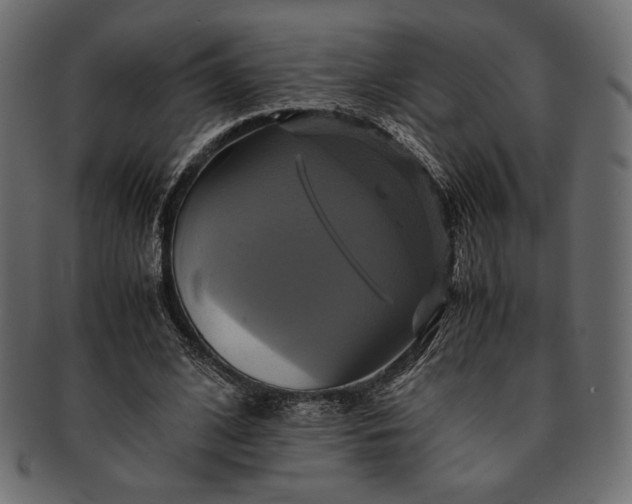 X0000091710584200709071414