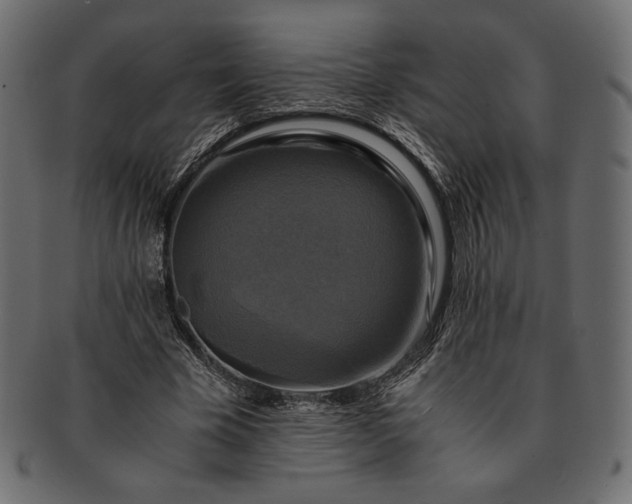 X0000091710585200709071414