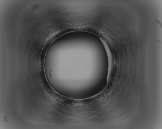 X0000091710587200709071414