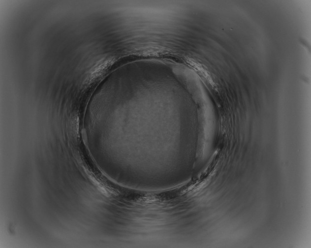 X0000091710589200709071414