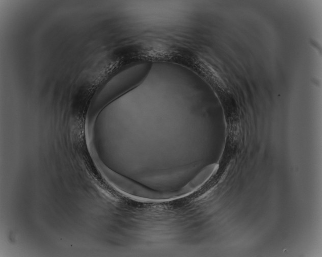 X0000091710593200709071414