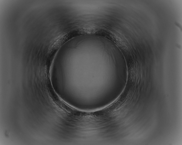 X0000091710594200709071414