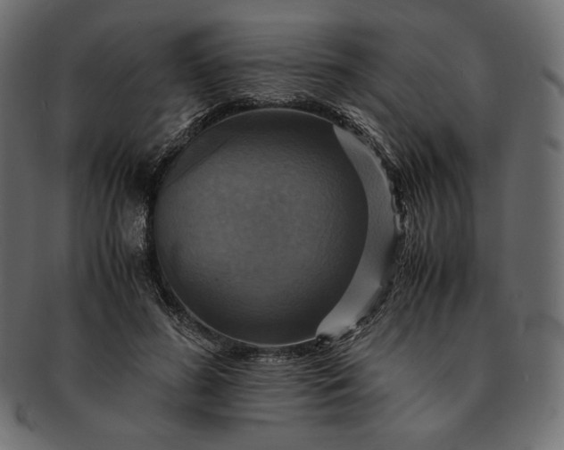 X0000091710596200709071414