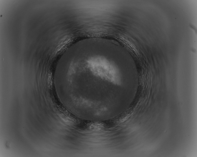 X0000091710599200709071414