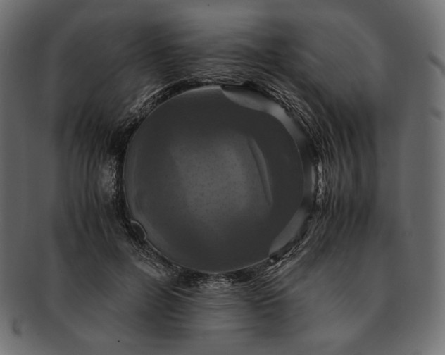 X0000091710600200709071414