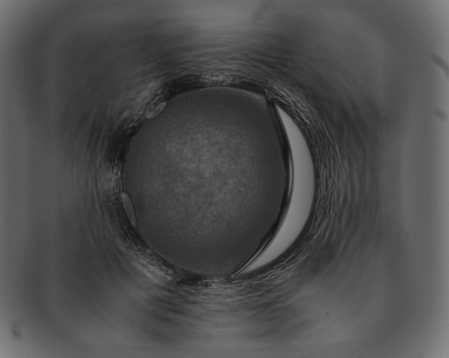 X0000091710601200709071414