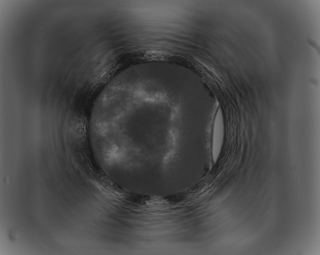 X0000091710603200709071414