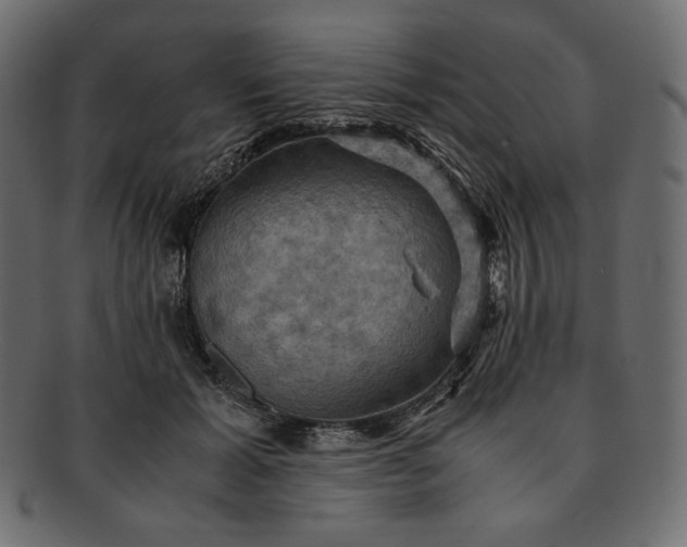 X0000091710605200709071414