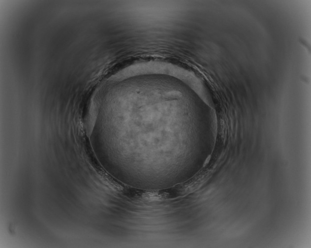 X0000091710613200709071414