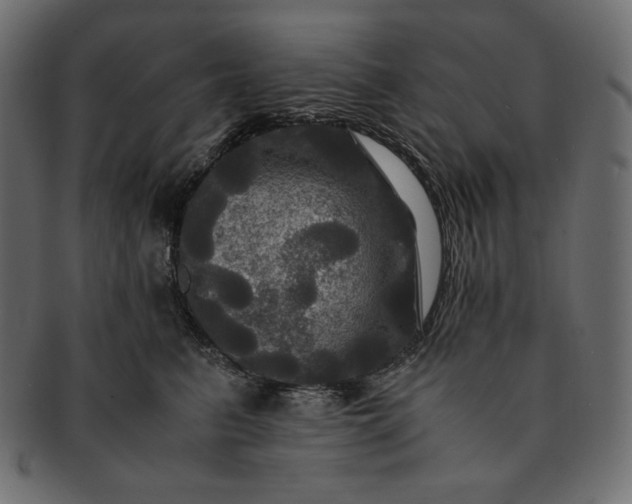 X0000091710615200709071414