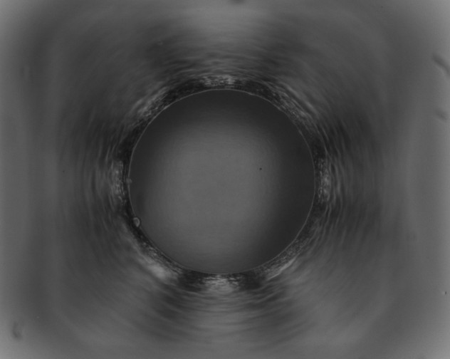 X0000091710616200709071414