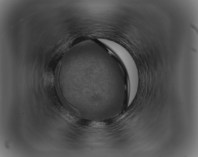 X0000091710617200709071414