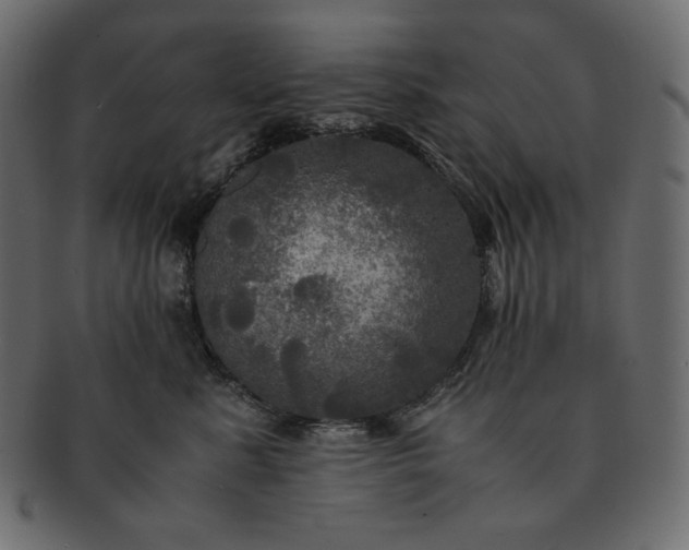 X0000091710619200709071414