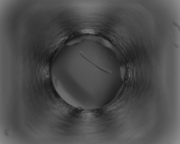 X0000091710620200709071414