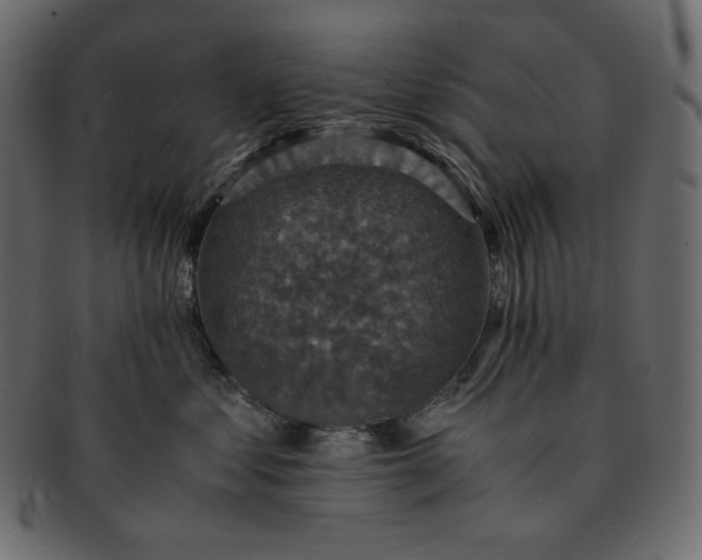 X0000091710621200709071414