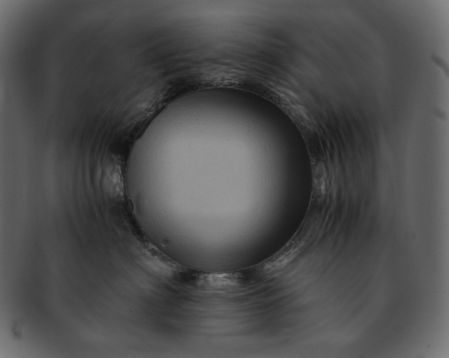 X0000091710622200709071414