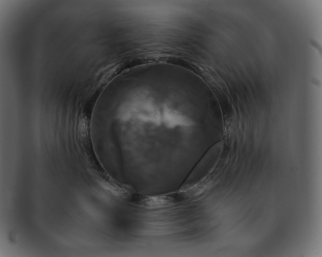 X0000091710623200709071414