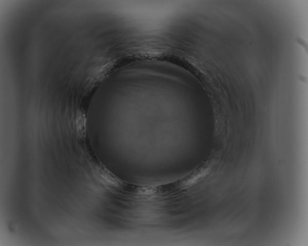 X0000091710624200709071414