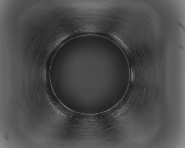 X0000091710627200709071413