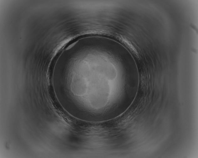 X0000091710628200709071413