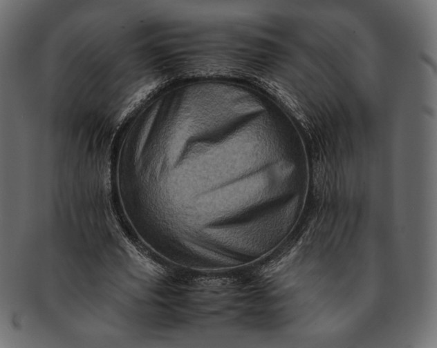 X0000091710629200709071413