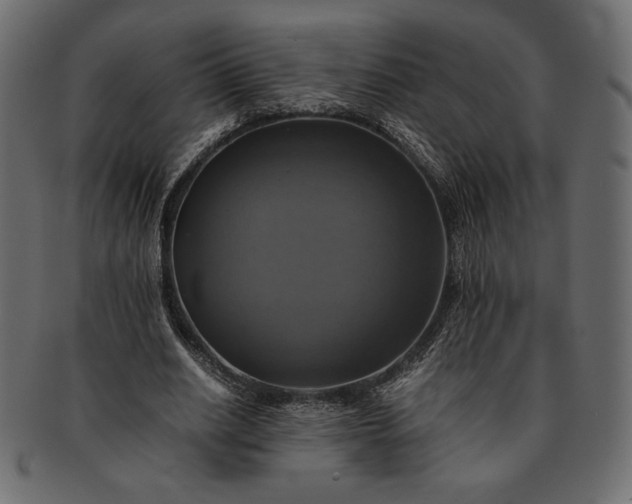 X0000091710630200709071413